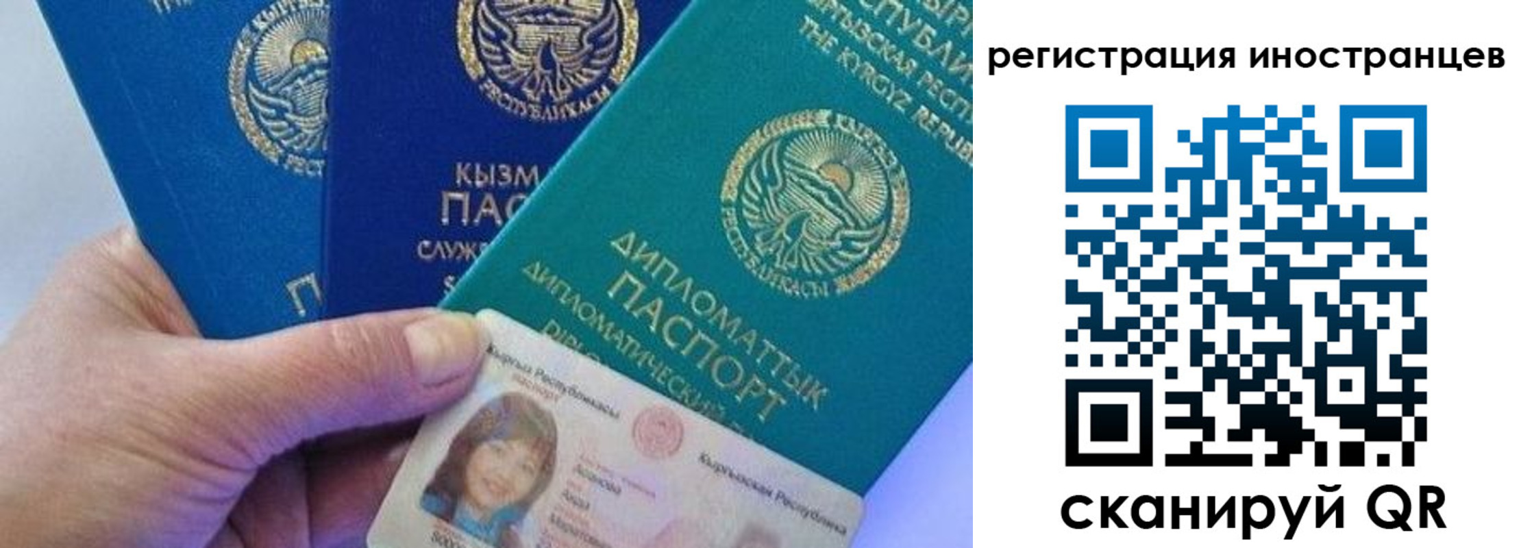 прописка в Стародубе